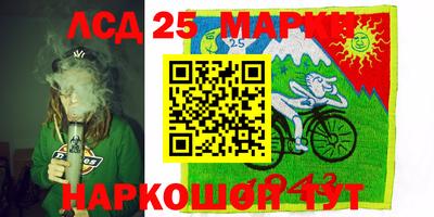 прущие грибы Гусиноозёрск