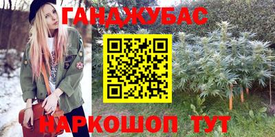 прущие грибы Гусиноозёрск