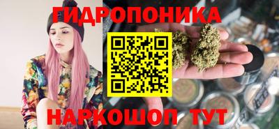 соль ск Гусев