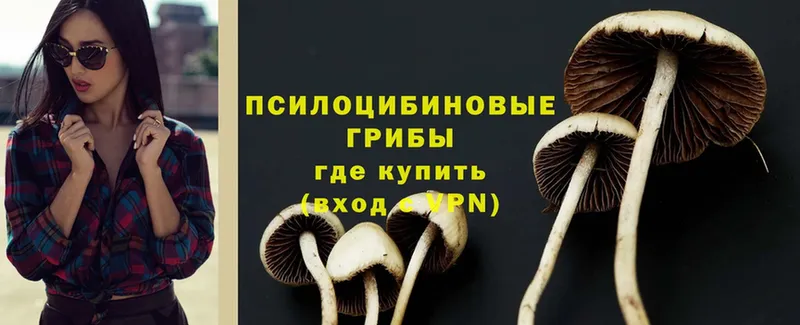 Галлюциногенные грибы GOLDEN TEACHER  Кимовск 