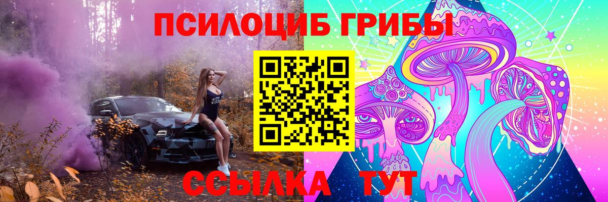 Кимовск  Галлюциногенные грибы мухоморы  Вход с VPN 